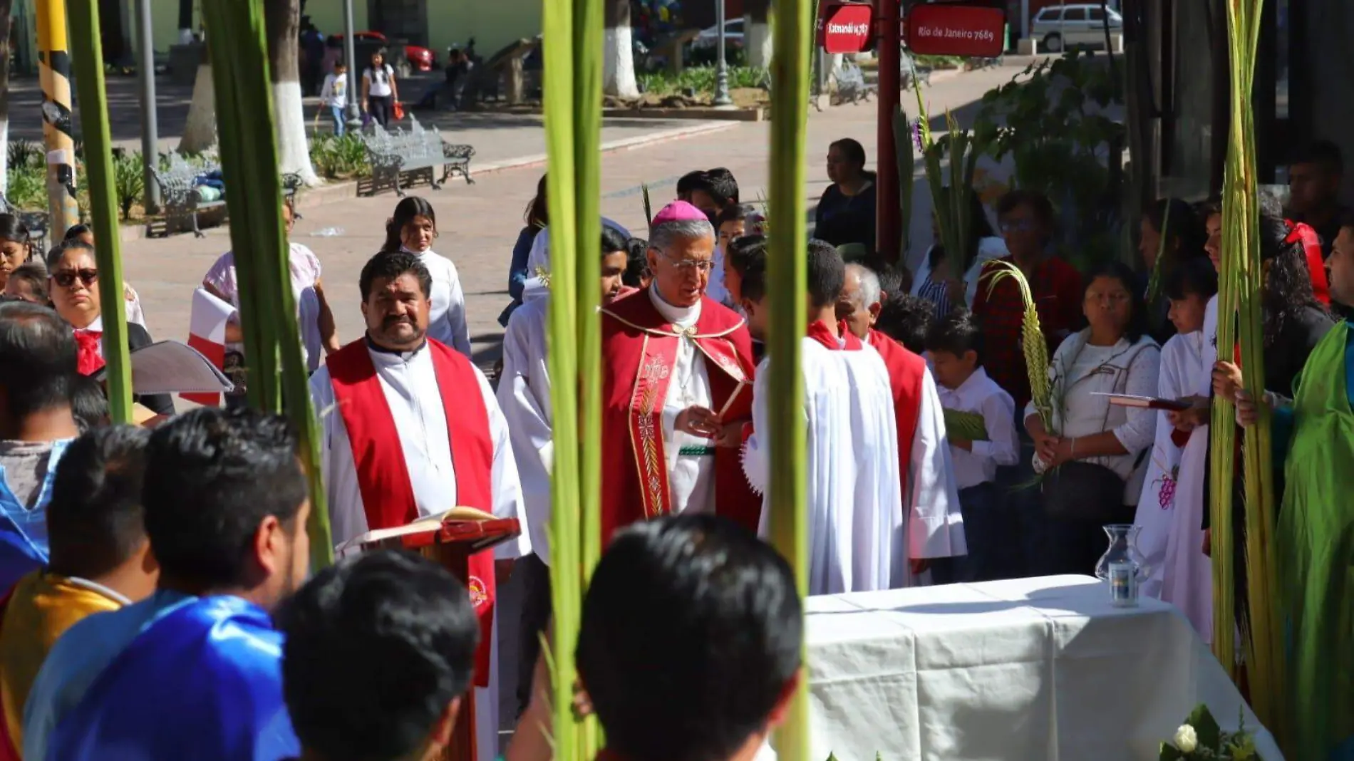 domingo de ramos 2024 (3)